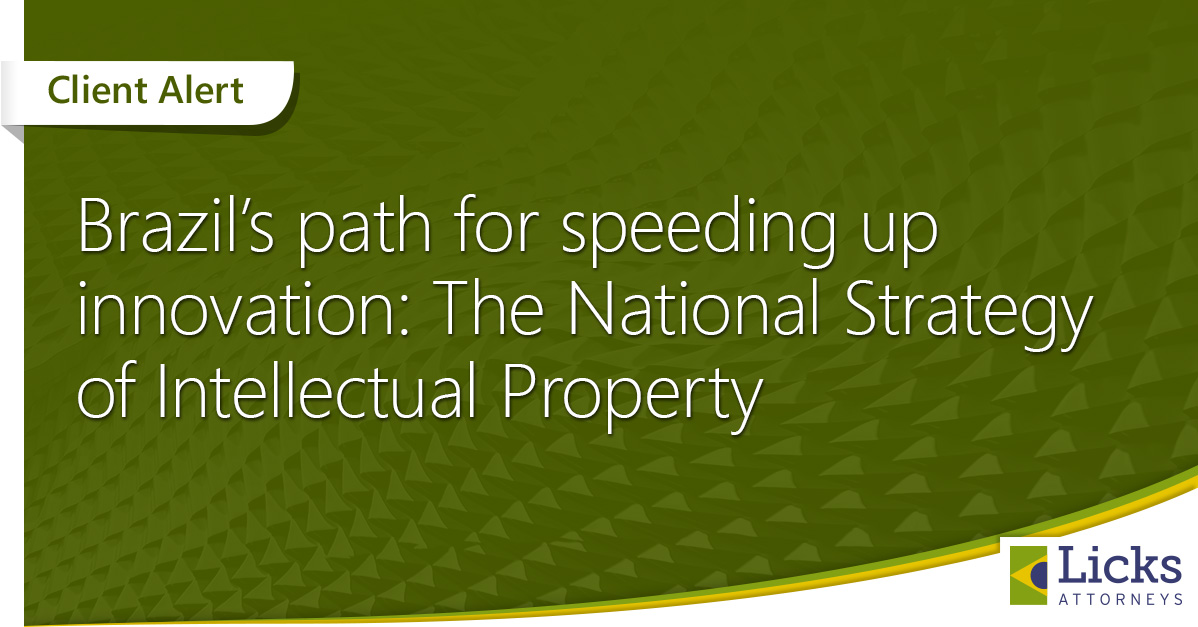 Brazil’s path for speeding up innovation: The National Strategy of Intellectual Property