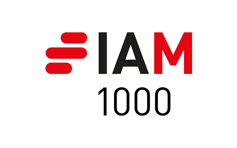 IAM Patent 1000