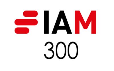 IAM 300