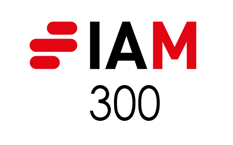 IAM 300